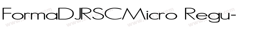 FormaDJRSCMicro Regu字体转换